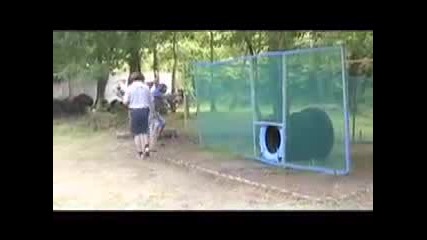 Ipsc Шампионат На Франция
