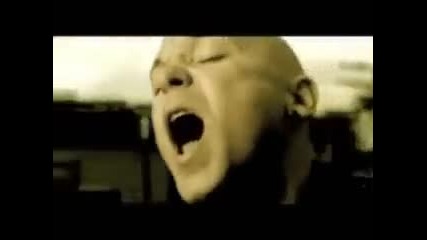 Dark New Day - Brother