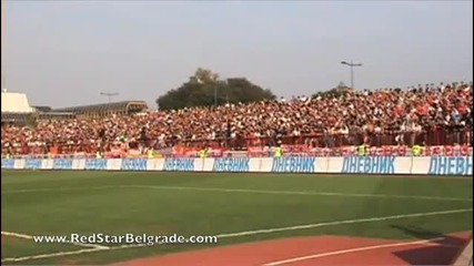 Vojvodina - Crvena zvezda, navijanje 