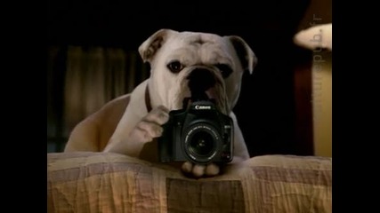 Canon