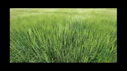 Котарашки - Септември