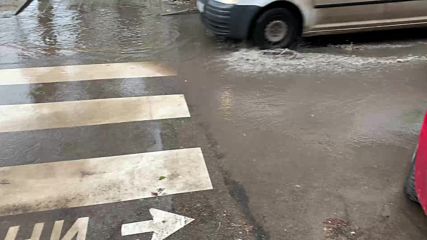 Варна в локви