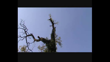 Рязане На Дървета Part 05.wmv