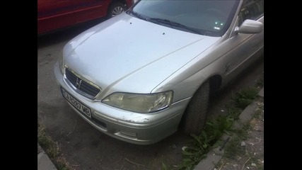 Honda Accord - Wolf