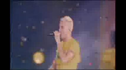 Rbd 