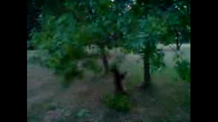 Mov03513.3gp