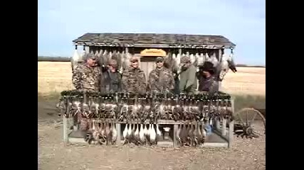 Duck Hunting Mallard Hunt in Alberta 2