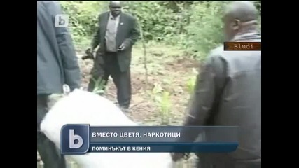 Вместо цветя, наркотици