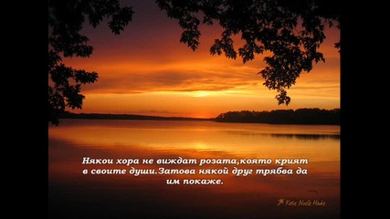 Скритата роза
