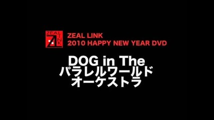 Dog in The Parallel World Orchestra - Zeal Link 2010 Happy New Year Dvd