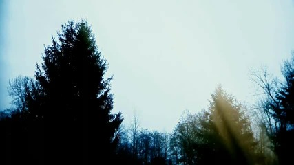 Savenone - The Rain /hq