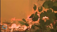 Northern California Thrust Into Wildfire Season