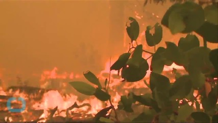 Northern California Thrust Into Wildfire Season