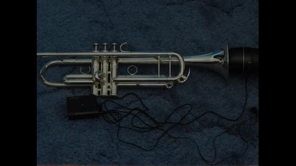 D Trumpet 