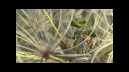 Funny Pixar Bug`s Life Bloopers