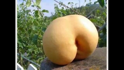 Много Смях :)