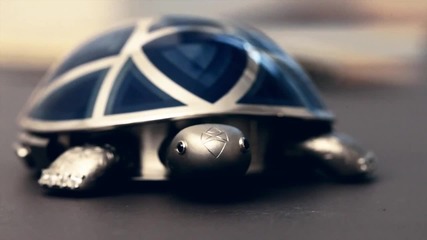 Не сте виждали такава костенурка- Майстор часовникар: Raul Pages