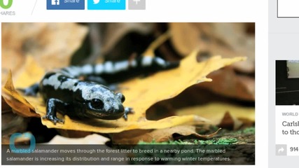 Global Warming May Cause as Many as 1 in 6 Species to Go Extinct