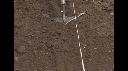 Използване на Winged плевачка за бразди