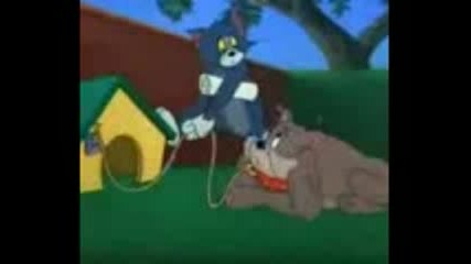 Tom And Jerry