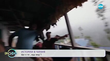 Теньо разказва: Истории в чиния – Що е то „луд мед”? - „На кафе” (28.02.2023)