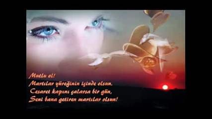 Gitme Turnam