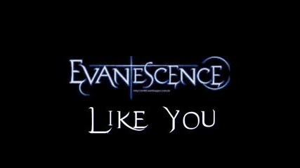 Evanescence - Like You (the Open Door)