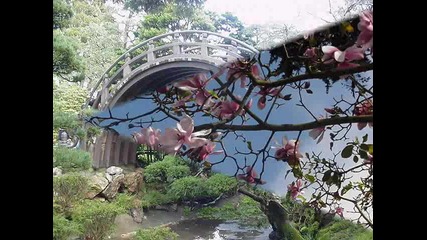 Jardin japonais (san Francisco)