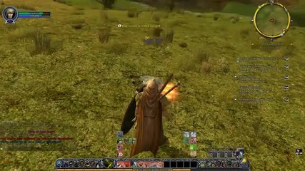 10 minutes in Lord of the Rings Online - Warden level 23 