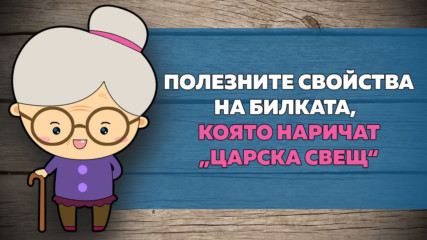 Полезните свойства на билката, която наричат „царска свещ“