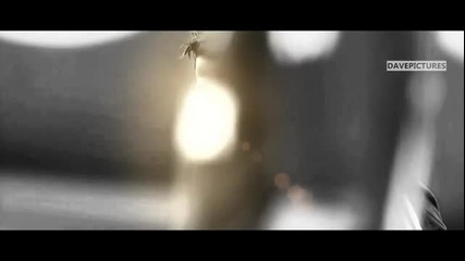 Cristiano Ronaldo Fight Against All Real Madrid 2012