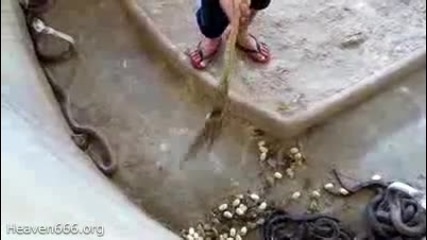 Опасна професия 