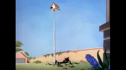 Tom and Jerry - The Flying Cat Hq 