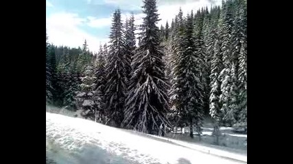 мугла