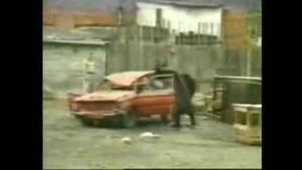 Мечки Разбойници