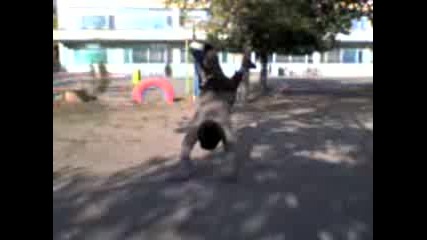 `parkourche`