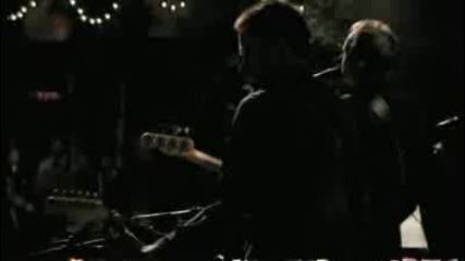 Sting - Desert rose