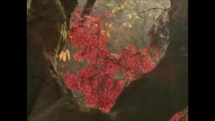 Lake of Tears - Forever Autumn (превод)