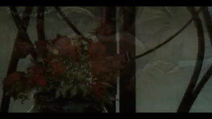Bleed The Sky(amv)