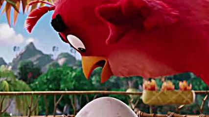Torta.bez.глутен.angry.burds