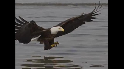 El Condor Pasa