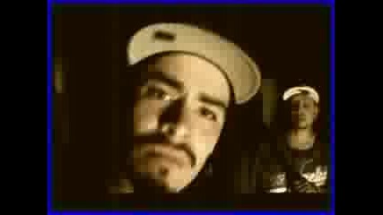 Mr.trippalot - Modo Loco