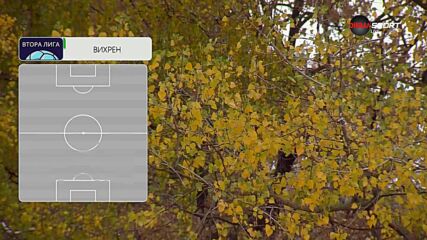 Рилски спортист - Вихрен /състави/