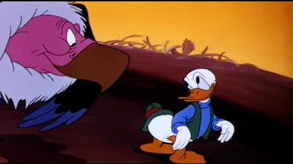 Donald Duck - Contrary Condor 