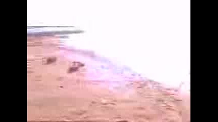 Видео000