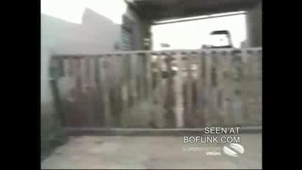 Луда Овца