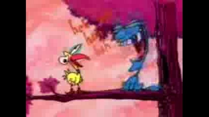 The Dirdy Birdy