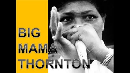 Big Mama Thornton - Mr Cool