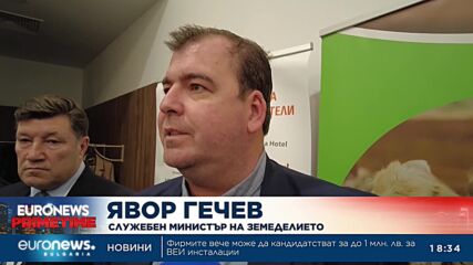 Явор Гечев: Цените на пазара са аномалия