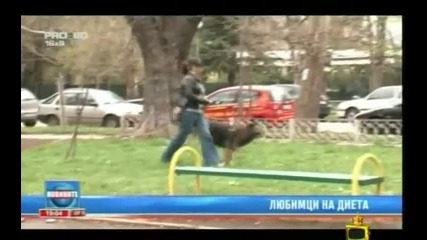 Mi toi umrial ma - Gospodari na efira